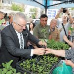 Edremit Belediyesi'nden ata tohumlarına destek – GÜNDEM