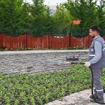 Selçuklu Belediyesi tarafından Konya'ya kazandırılan Çiçek Bahçesi, kapılarını ziyaretçilerine açmak için gün sayıyor – GÜNDEM