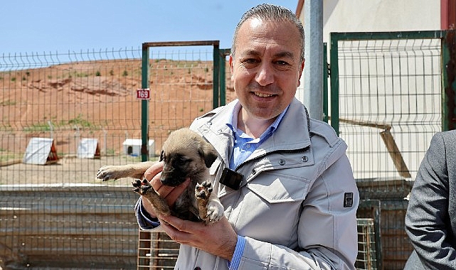 Sivas Belediye Başkanı Dr.  Adem Uzun, sahipsiz hayvanların bakım ve rehabilitasyon merkezini ziyaret etti – GÜNDEM
