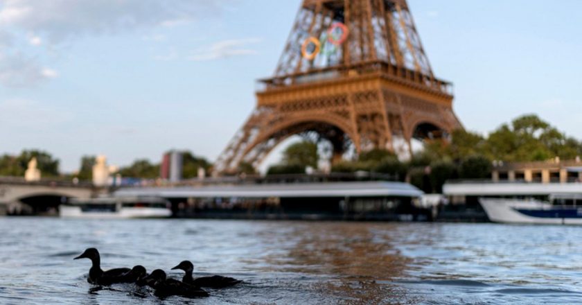 Paris Olimpiyatları: Yarışmaların yapıldığı Seine Nehri'ndeki suyun kalitesiyle ilgili endişeler artıyor