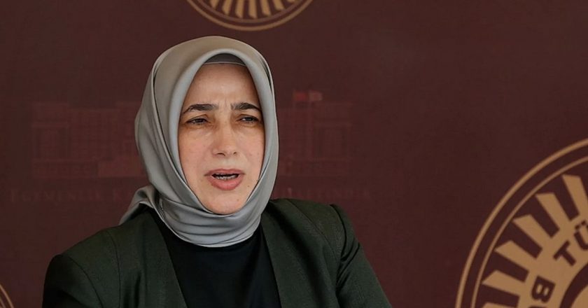 AK Partili Zengin, tahliye edilen Dilruba Kayserilioğlu'nun hâlâ ceza alabileceğini söyledi.