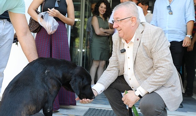 Edremit Belediye Başkanı Mehmet Ertaş sokak köpeğini sahiplendi – GÜNDEM