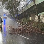 İstanbul’da fırtına ve sağanak etkili