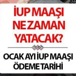 IUP MAAŞ ÖDEME TARİHİ 2025 OCAK SON HABER: IUP maaşı ne zaman ödenecek, ödendi mi, ayın hangi ayında ödenecek? İşgücü Uyum Programı (IUP) maaşı ne kadar oldu, kaç TL? Ödeme Planı İŞKUR!