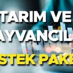 Tarım ve Sığır için Destek Paketi 2025 Uygulama Koşulları || Kırsal kesimde doğurganlığın uygulanması ve Zootechnics desteği ne zaman? Tarımsal krediler ve sığır nasıl alınır?