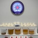 Yalova’da uyuşturucu imalathanesine operasyonda 6 tutuklama