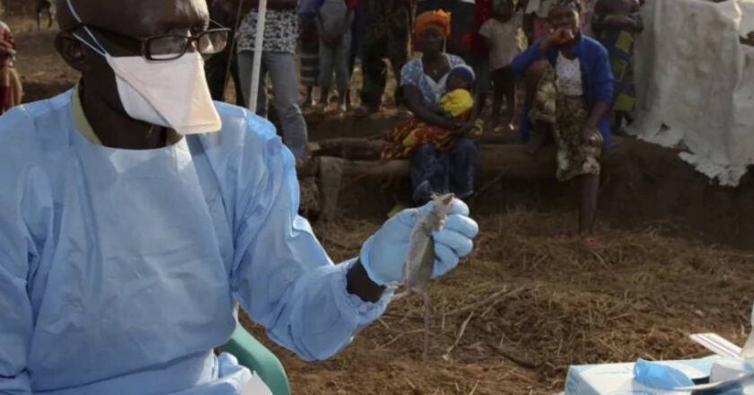 Fare dışkısıyla temas 356 kişinin ölümüne yol açtı! – Son Dakika Dünya Haberleri