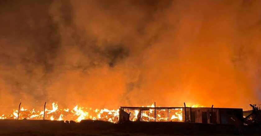 İzmir’de Atık Depolama Alanında Yangın Çıktı