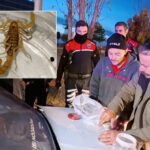 Aksaray’da 10 milyon dolarlık akrep ticareti sırasında suçüstü yakalandılar!